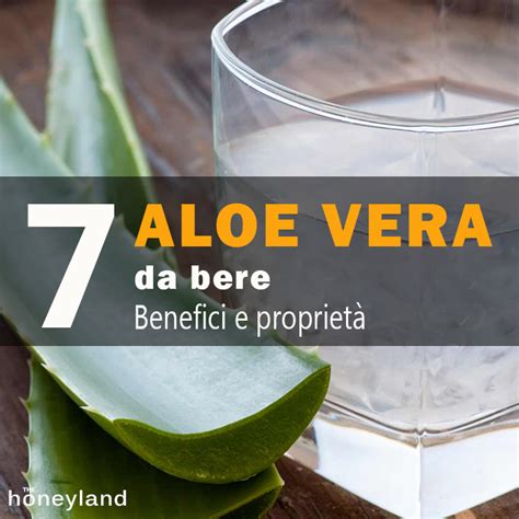 Aloe Vera Benefici Documentati Dell Aloe Vera Fresca Non Pastorizzata