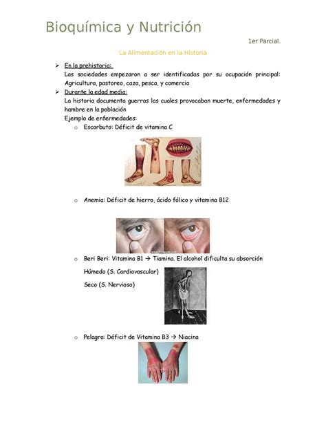 Bioqu Mica Y Nutrici N Er Parcial La Alimentaci N En La Historia En