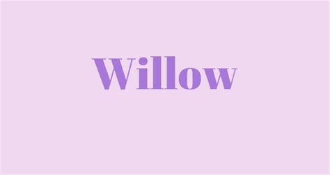 Willow Names With Meaning Baby Girl Names Unique English Word Meaning