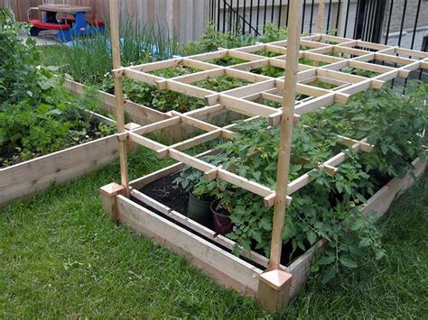 Tomato Trellis Designs Completely Free Epic Gardening