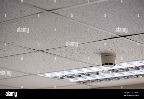 Detailed View Of Office Suspended Ceiling Tiles Shown Together With