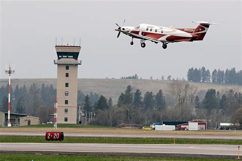 FWP Captures Bear at Glacier Park International Airport - Flathead Beacon