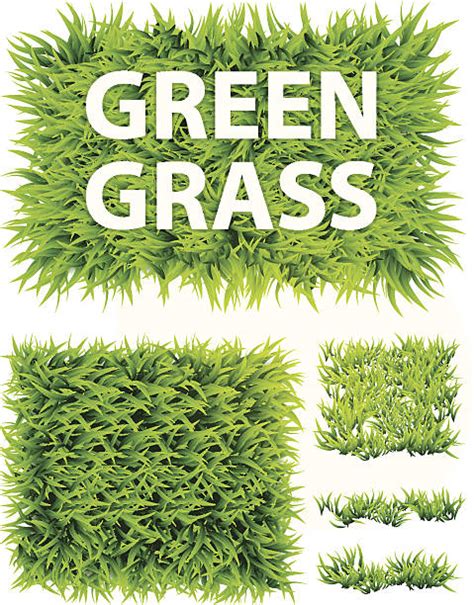 2,200+ Grass Texture Clip Art Stock Illustrations, Royalty-Free Vector ...