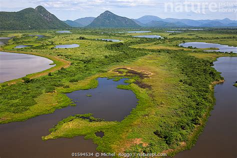 Stock photo of Aerial view of the Pantanal, end of the dry season. Near ...