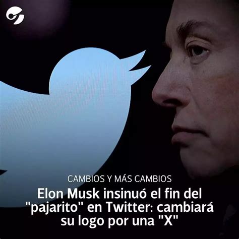 Elon Musk Anunció El Fin Del Pajarito En Twitter Cambiará Su Logo Por Una X Y Dio Una Señal