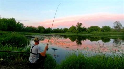 Liny i Karasie na Starorzeczach są ostrożne ale lubią YouTube