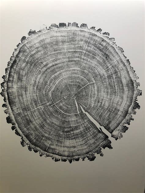 Minnesota Tree Ring Print, Tree stump art print, Made from real oak ...