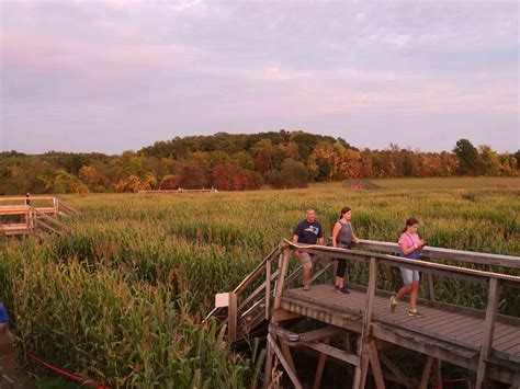 Mega Maze - Davis Mega Farm Festival has the greatest corn maze