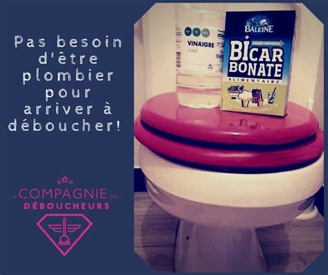 Astuce De Grand Mère Pour Déboucher Les Toilettes