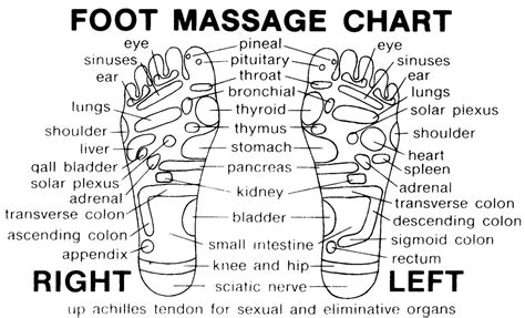 Reflexology Charts For Feet