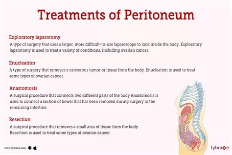 Peritoneum Human Anatomy Image Functions Diseases And Treatments