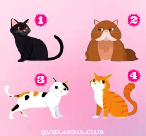 Teste de personalidade O gato que você escolher vai mostrar o que você