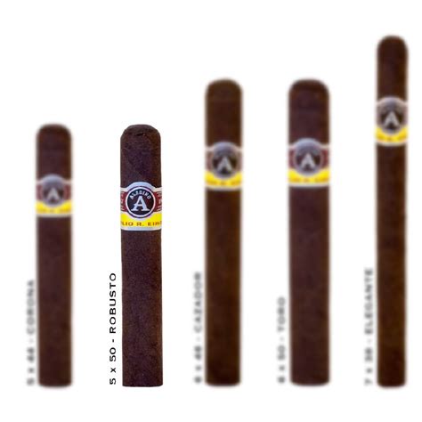 Aladino Maduro Robusto S Buy Premium Cigars Online From 2 Guys Cigars