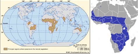 Savanna Biome World Map