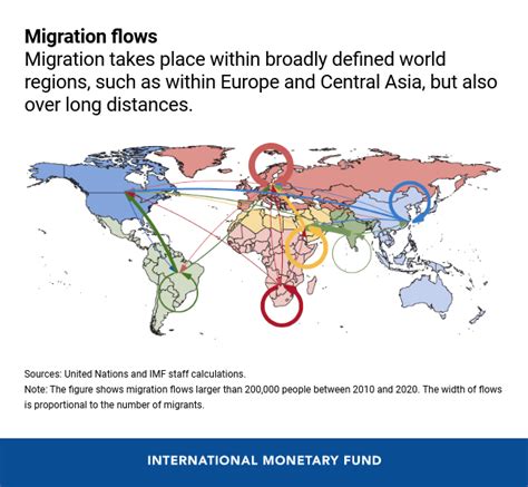 International Migration Examples