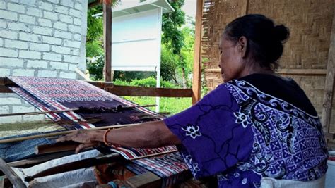 Insan Bumi Mandiri Lestarikan Tenun Demi Rawat Penenun Ntt Ozip Magazine