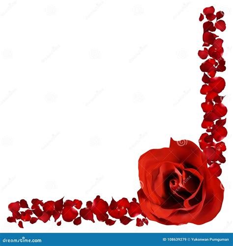 Realistic Red Rose and Petals Border, Flower Vector Illustration Stock Vector - Illustration of ...