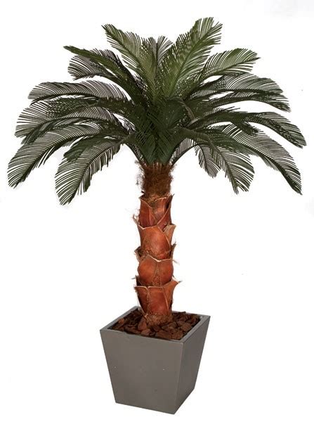 Earthflora Outdoor Artificial Palm Trees Topiaryplants 6 Cycas Palm Tree Natural Boot