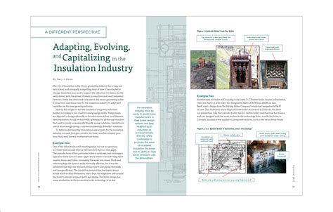 perspective adapting evolving  capitalizing