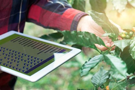 La Importancia Del Registro De Datos En La Agricultura Blog Cambiagro