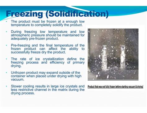 Lyophilization Process PPT