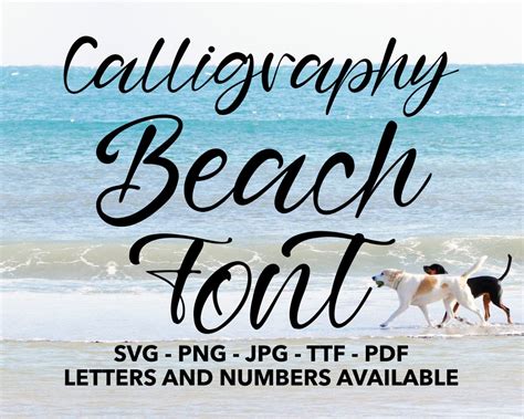 Calligraphy Beach Font SVG, Calligraphy Letters, Wedding Numbers ...