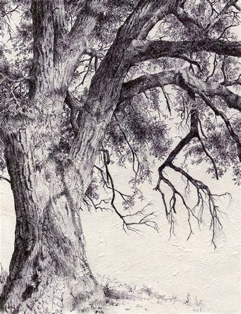 DINA BRODSKY Dessin Arbre Dessin D Arbre Croquis De Paysage