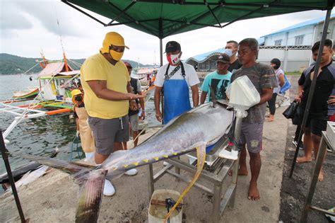 Indonesia To Issue Quota Based Fisheries Policy In July Sparking Concerns