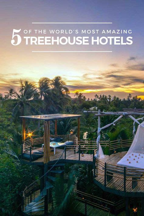 tree house hotels