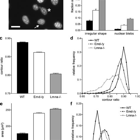 Emerin and A-type lamin-deficient cells have impaired... | Download Scientific Diagram