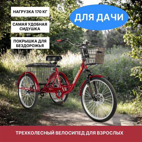 Трехколесный велосипед для взрослых РВЗ Чемпион красный 24 - купить по ...
