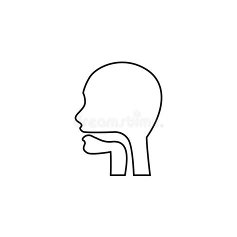 Oral Cavity Pharynx And Esophagus Glyph Icon Upper Section Of