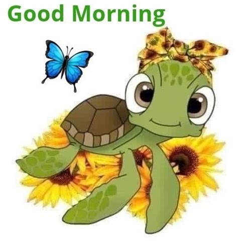 Turtle Good Morning Pictures And S Good Morning Images Good