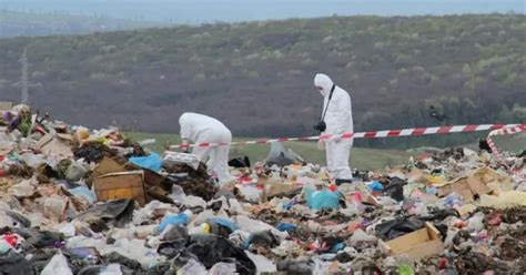 Nou N Scut G Sit Mort La O Groap De Gunoi Din Jude Ul Cluj Bebelu Ul