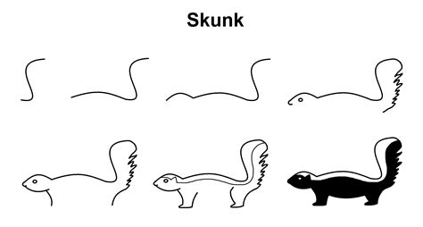 How To Draw A Skunk at How To Draw