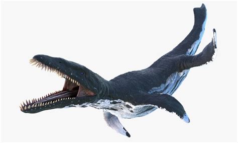 Liopleurodon Vs Mosasaurus Who Would Win In A Fight Imp World