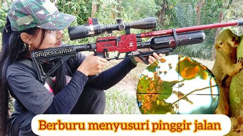 Berburu Tupai Dan Tekukur Di Pinggir Jalan Youtube