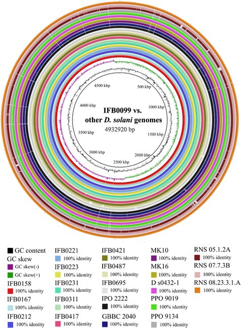 Whole Genome Comparison For 22 Dickeya Solani Strains Blast Ring Image Download Scientific