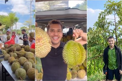 Durian Aliff Syukri Daily Niaga