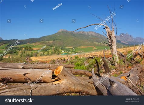 Deforestation Africa Farmers Royalty-Free Images, Stock Photos ...