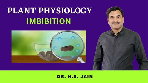 Plant Physiology Imbibition Hindi Medium Dr N S JAIN YouTube