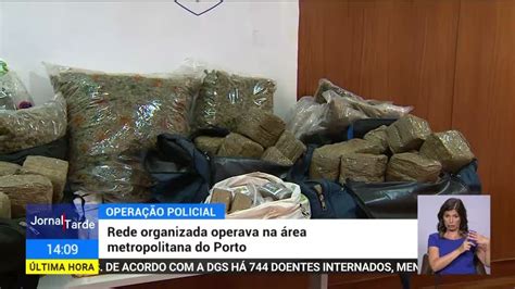 Dois Detidos E 143 Mil Doses De Droga Apreendidas Em Operação Da Psp Do