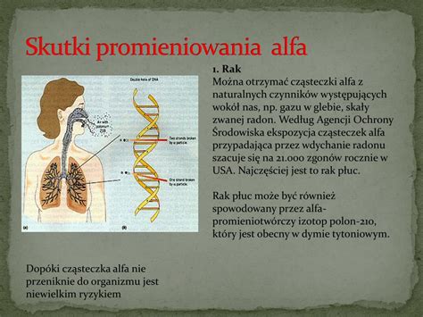 PPT Promieniowanie jonizujące wpływ na organizmy żywe PowerPoint