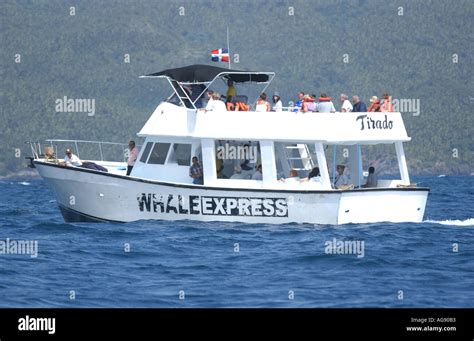 Samana Bay, Whale Watching Boat, Day Stock Photo - Alamy