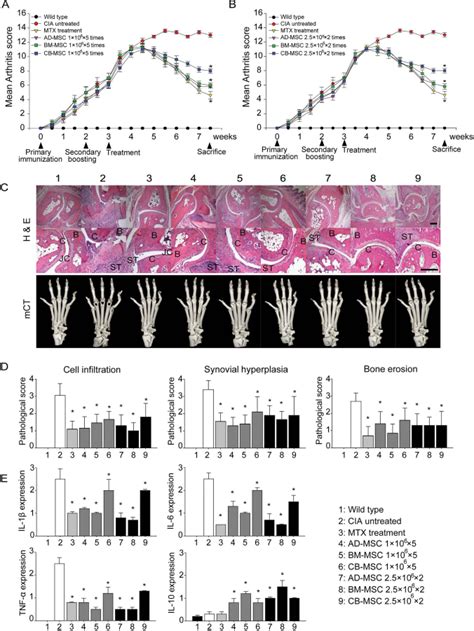 Dose And Time Dependent Changes In Levels Of Proinflammatory And