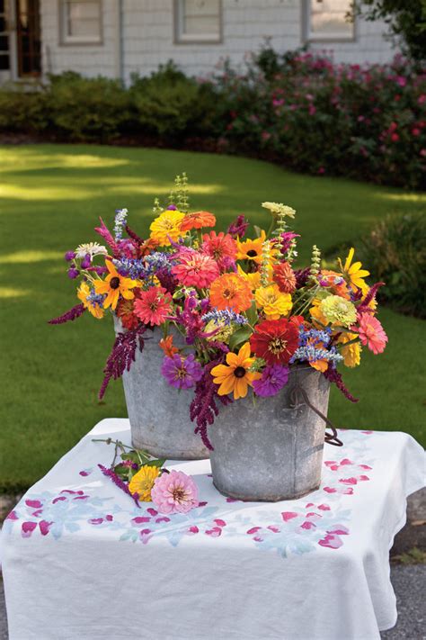 Continuous Blooms For A Cut Flower Garden