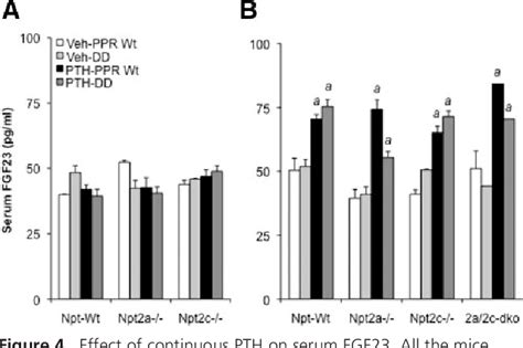 Figure 4 From Activation Of A Non CAMP PKA Signaling Pathway Downstream