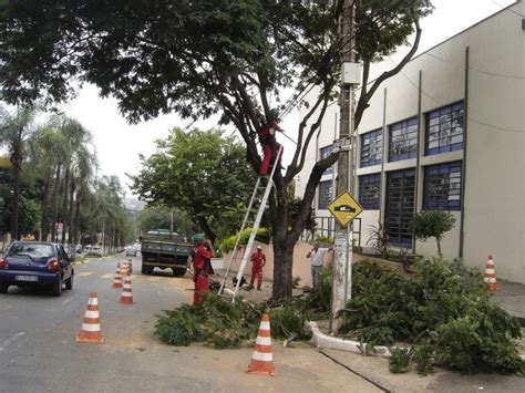 Serviços De Poda E Corte De árvore Devem Ser Feitos Com Autorização Da