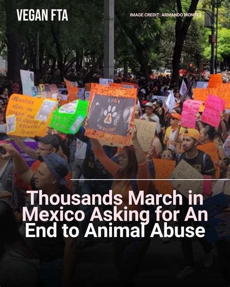 Vegan FTA On Twitter Thousands March In Mexico Asking For An End To