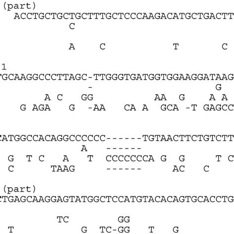 Sequence Alignment Of The First Intron Plus Parts Of The Flanking Exons